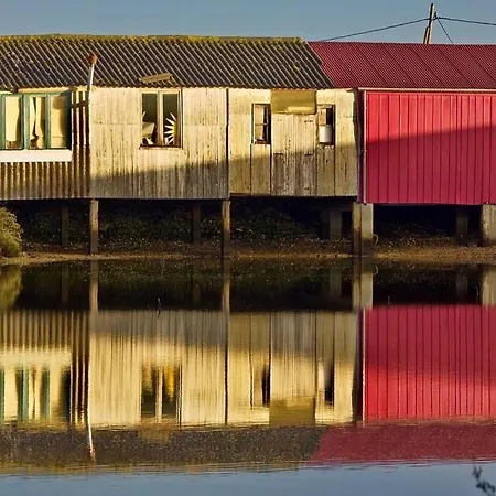 Maison Sur L'ile D'oleron 1/4 Personnes A 5mn De Pierre D'oleron Σπίτι διακοπών *